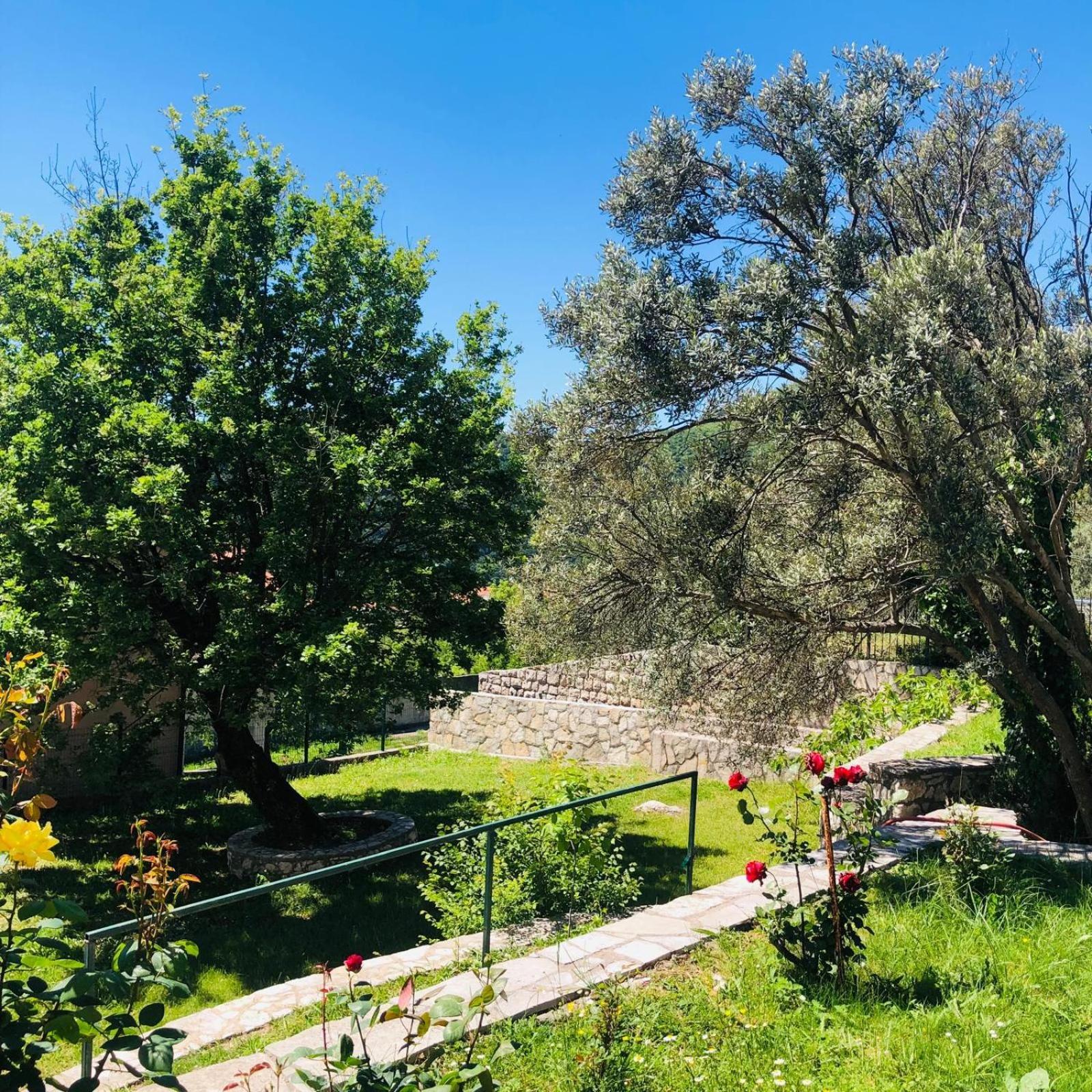 Vila Oaza Markovici Budva Extérieur photo